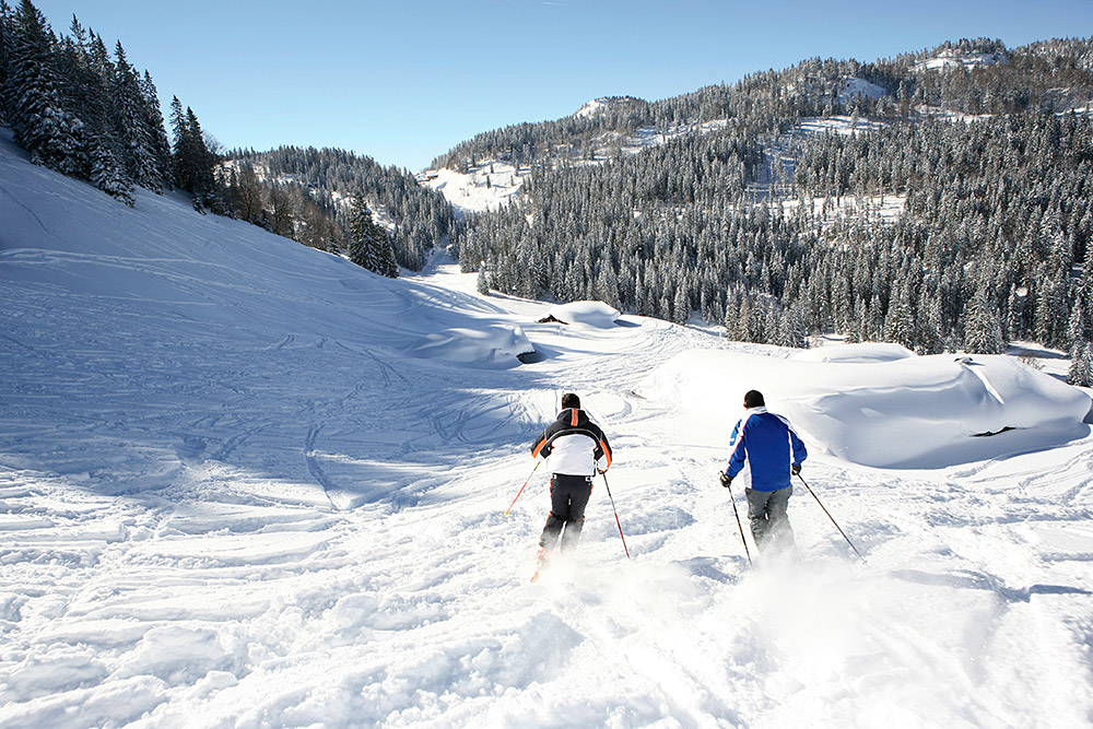 Steinplatte Freeski